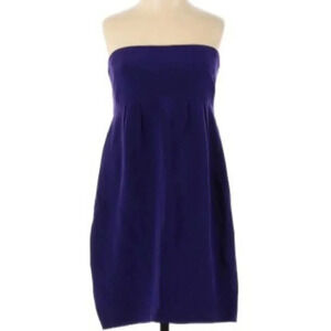 Jenni Kayne Strapless Mini Dress 100% Silk Purple Side Zip Size 4